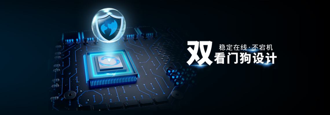 雙看門狗