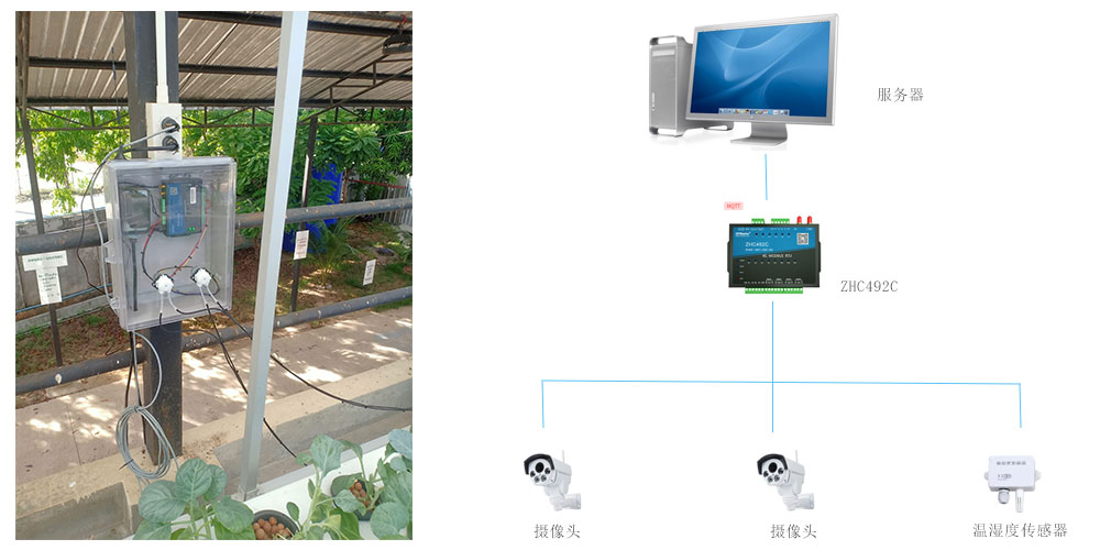 RTU-ZHC492C在泰國(guó)智慧農(nóng)場(chǎng)監(jiān)管中的應(yīng)用