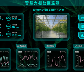 傳統(tǒng)農(nóng)業(yè)out了！智慧大棚+物聯(lián)網(wǎng)，讓種植更高效
