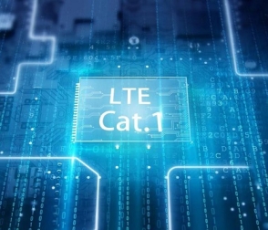 Cat.1爆火，蜂窩物聯(lián)網(wǎng)格局出現(xiàn)新局面