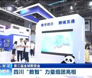 縱橫智控亮相第三屆全球數(shù)字貿(mào)易博覽會